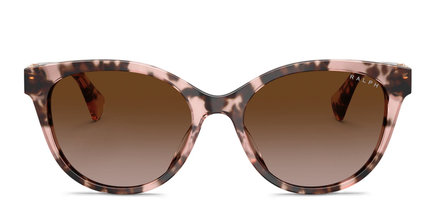 Coach HC8132 purple, tortoise frame with burgundy gradient lenses