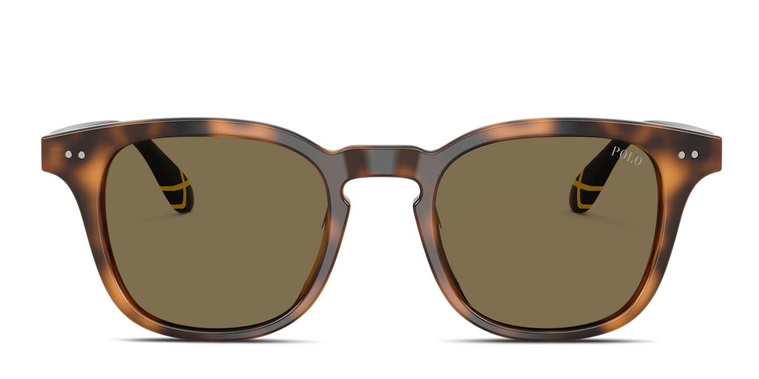 Polo Ralph Lauren PH4251U Tortoise, Brown glasses - Tortoise - Frontal View