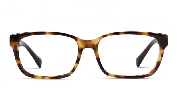 Coach darcy sunglasses outlet