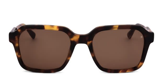 Scotch & Soda SS8008 Rushmore Tortoise Prescription Sunglasses