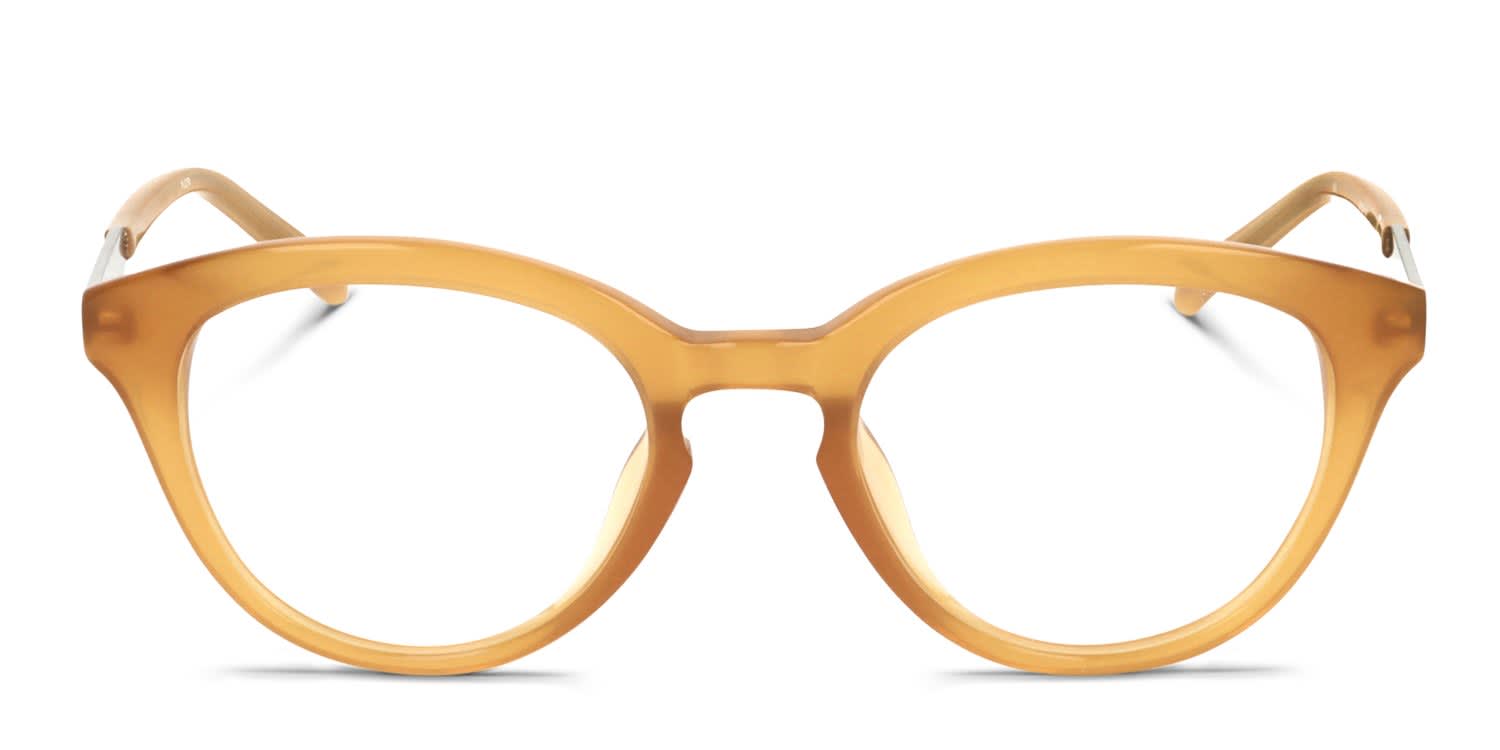 Kate Spade Eliana/G Multicolor/Gold Eyeglasses | Includes FREE Rx