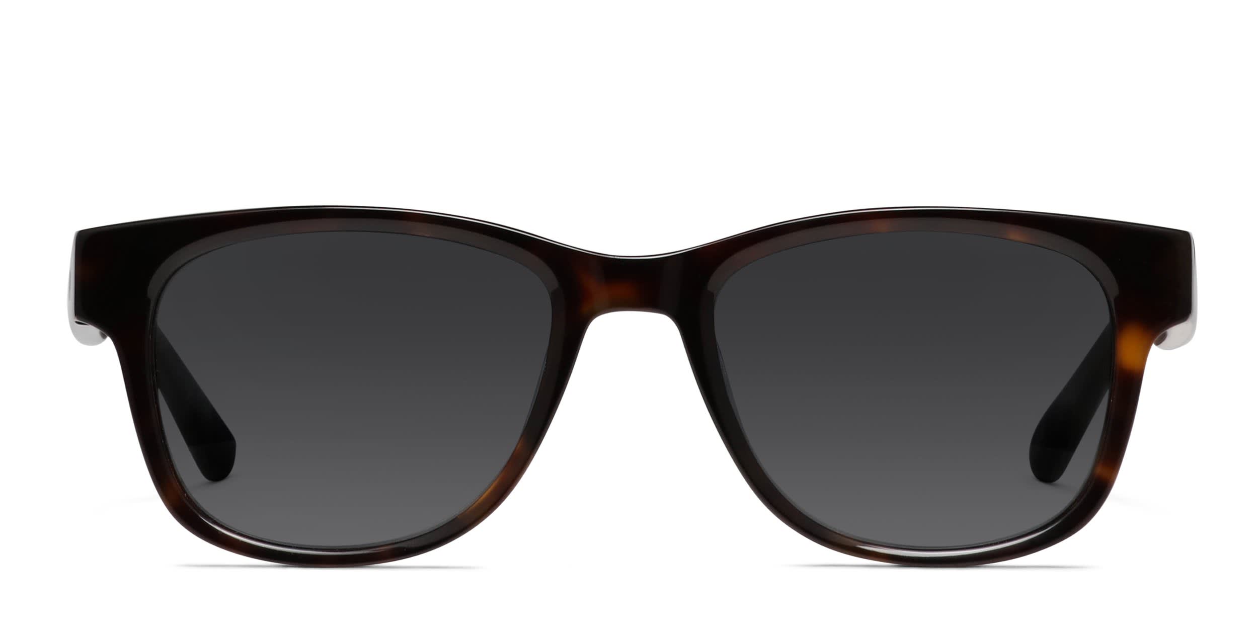 Ray-Ban Meta Smart Glasses RW4008 Wayfarer Black, Brown Sunglasses