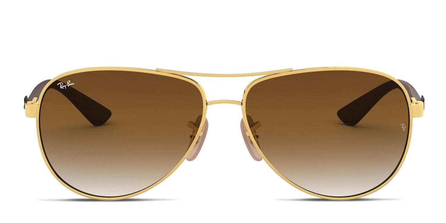 Ray-Ban 8313 Gold/Brown Sunglasses