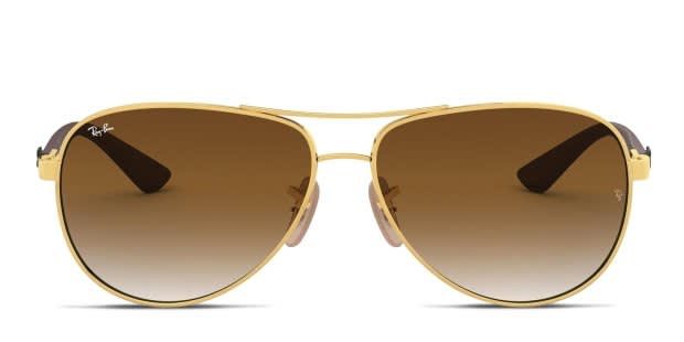 Ray-Ban 8313 Gold/Brown Sunglasses