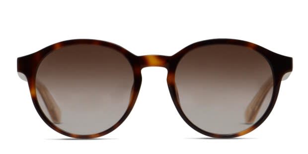 Tommy Hilfiger TH1389/S Tortoise Prescription Sunglasses display picture 3