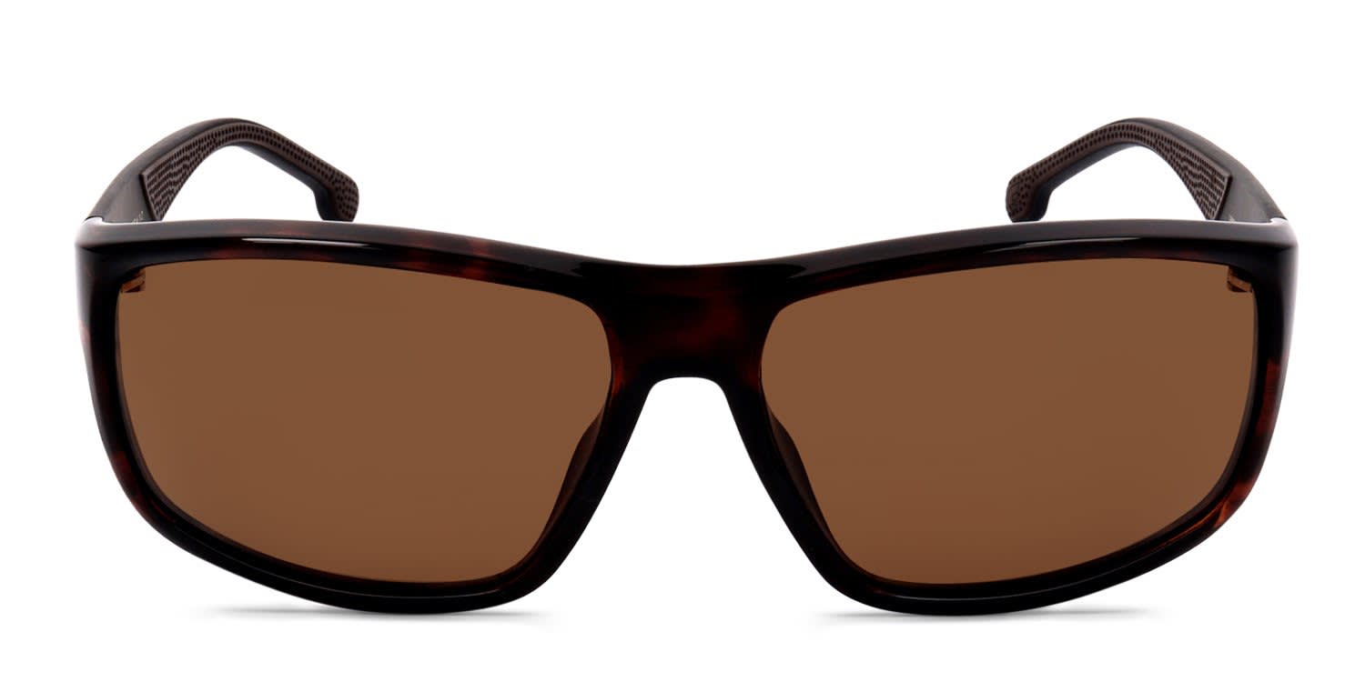Carrera CARRERA8038/S Tortoise, Bronze glasses - Tortoise - Frontal View