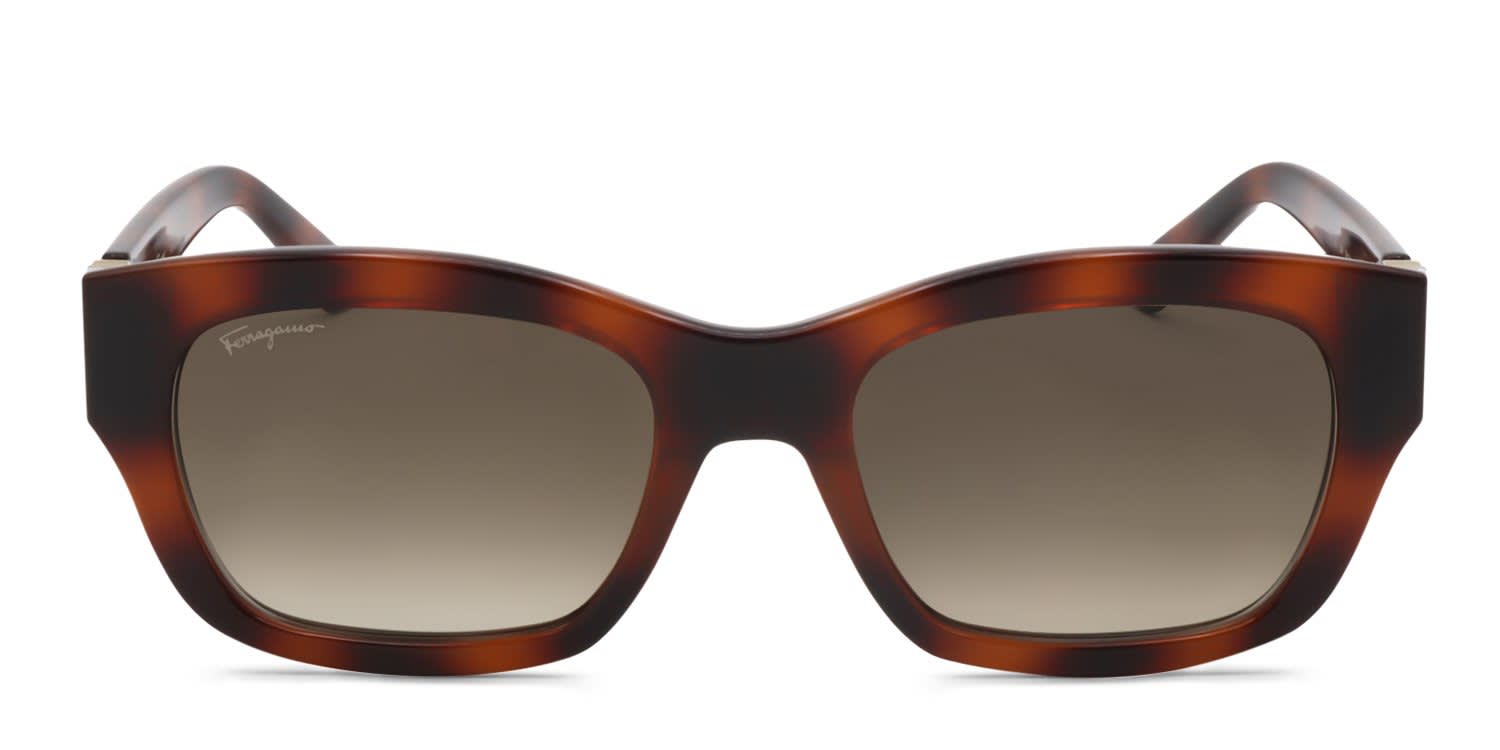 Ferragamo SF1012S Tortoise, Brown glasses - Tortoise - Frontal View