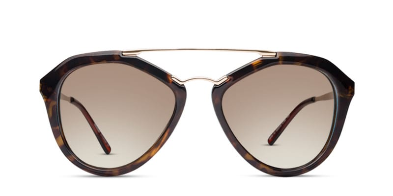 Carrie Tortoise w/Blue glasses - Blue / Tortoise - Frontal View