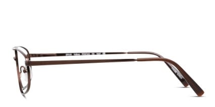 Pentax DP610 Brown glasses - Brown - Side View
