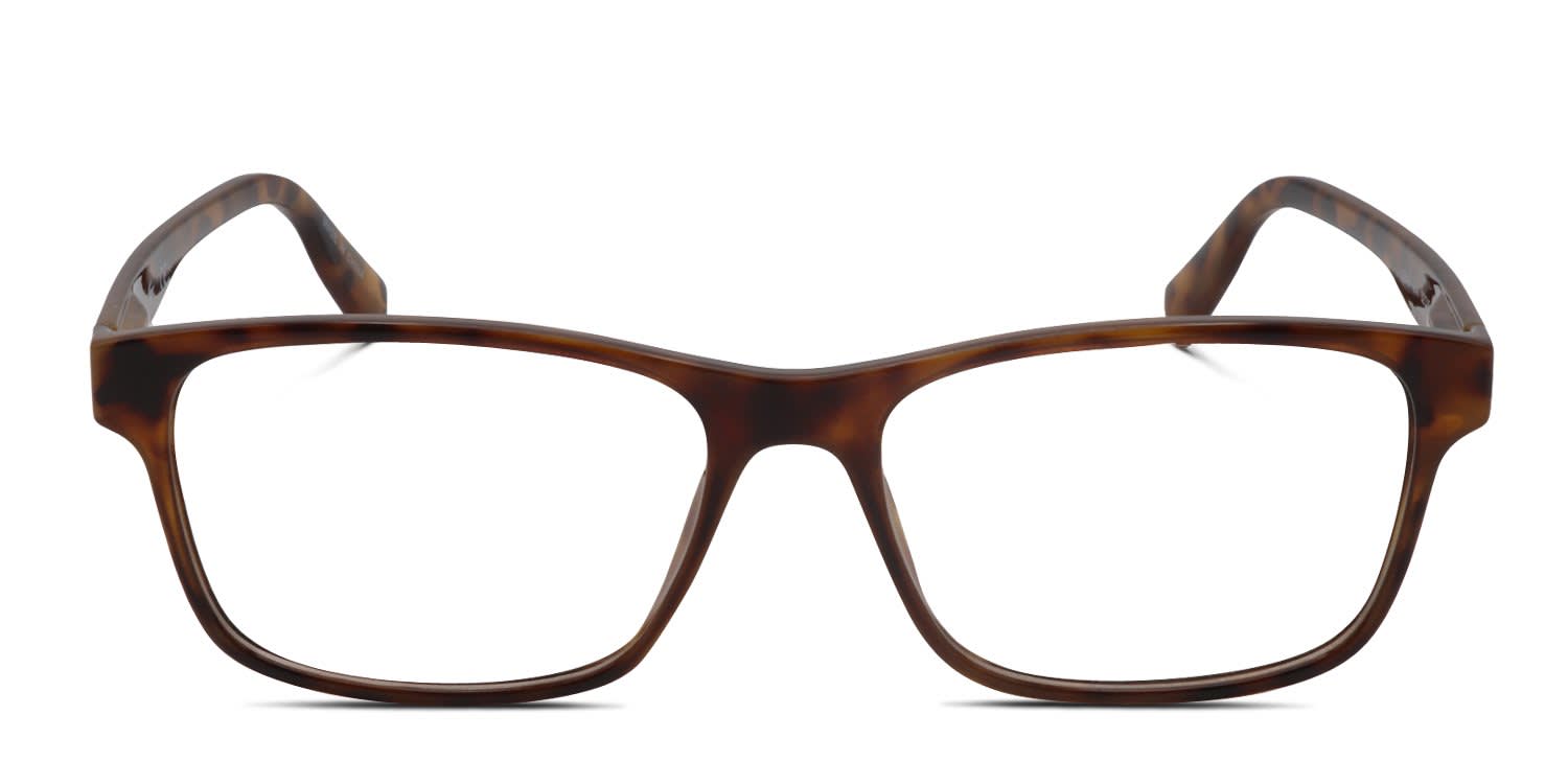 The Polo Ralph Lauren PH2286D in brown, tortoise is a versatile