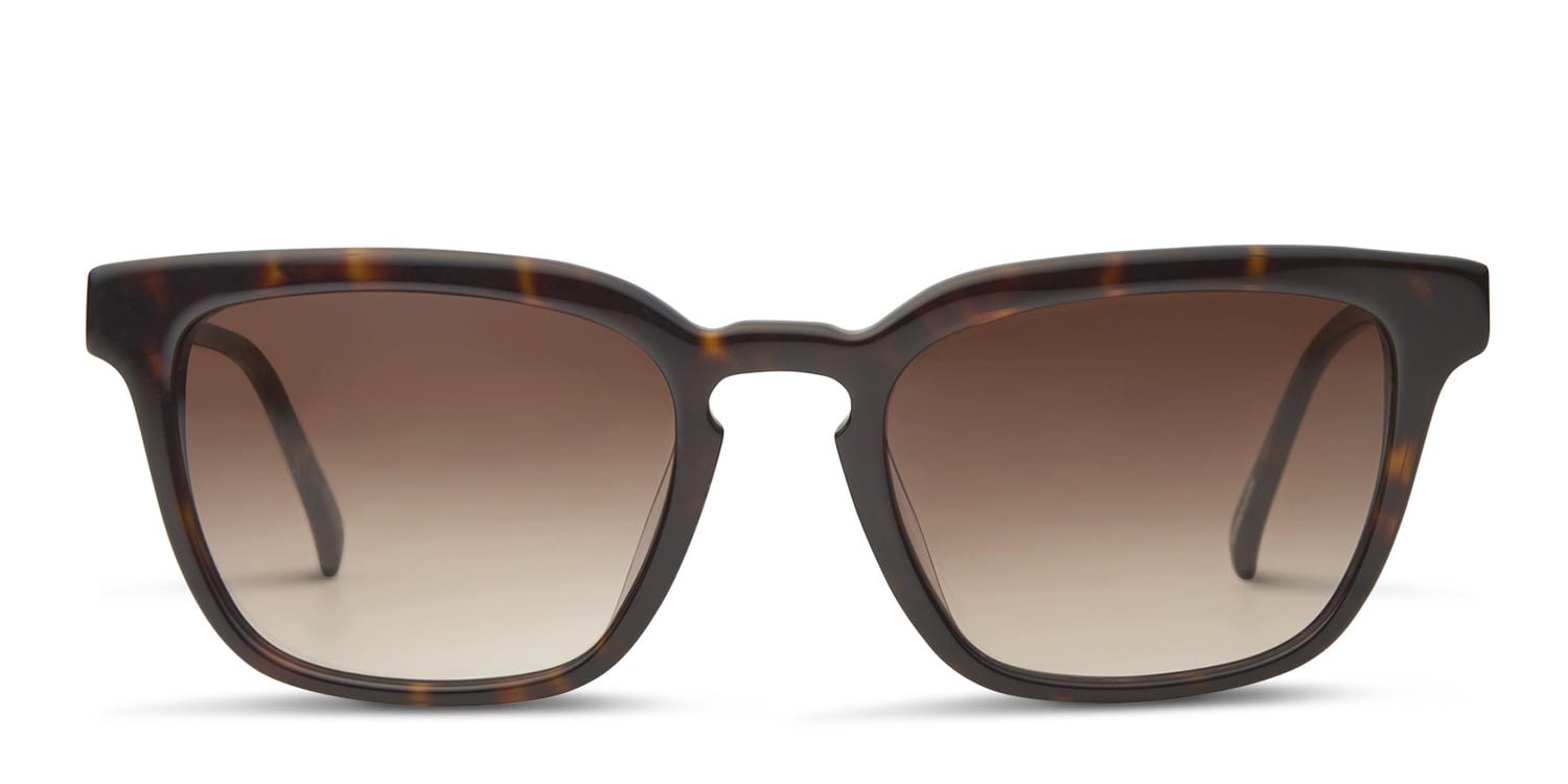 Luberon Tortoise glasses - Tortoise - Frontal View