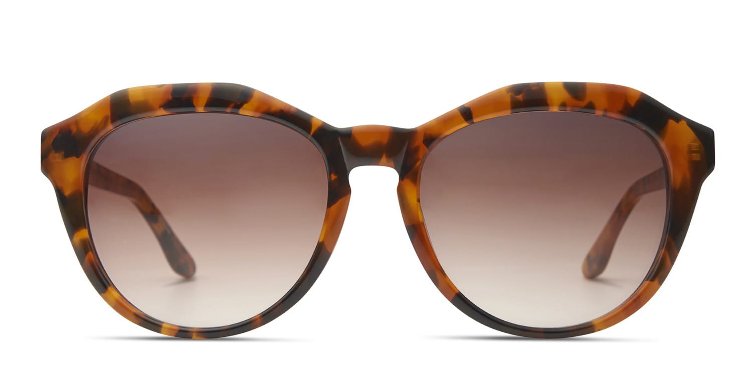 Destin Tortoise glasses - Tortoise - Frontal View
