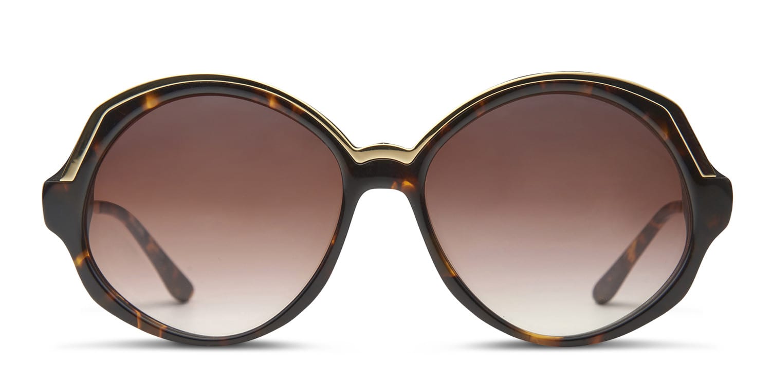 Brooksville Tortoise glasses - Tortoise - Frontal View