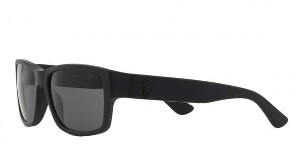 Polo ph4061 sunglasses 2025