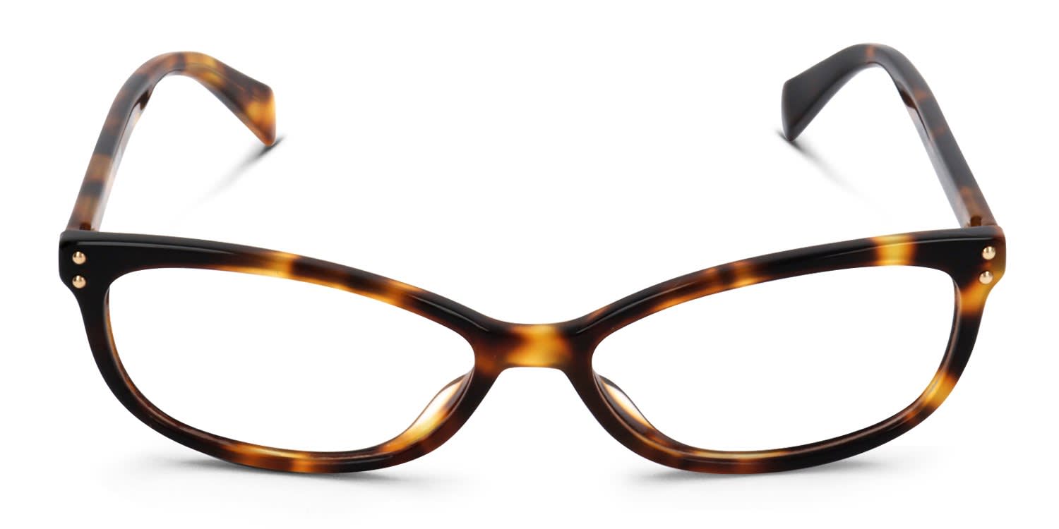 Moschino MOS536 Tortoise glasses - Tortoise - Frontal View