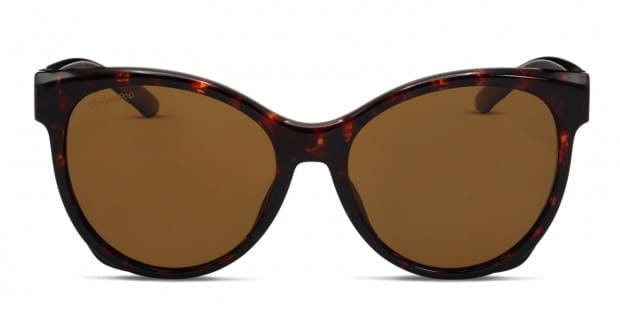 Smith tortoise discount sunglasses