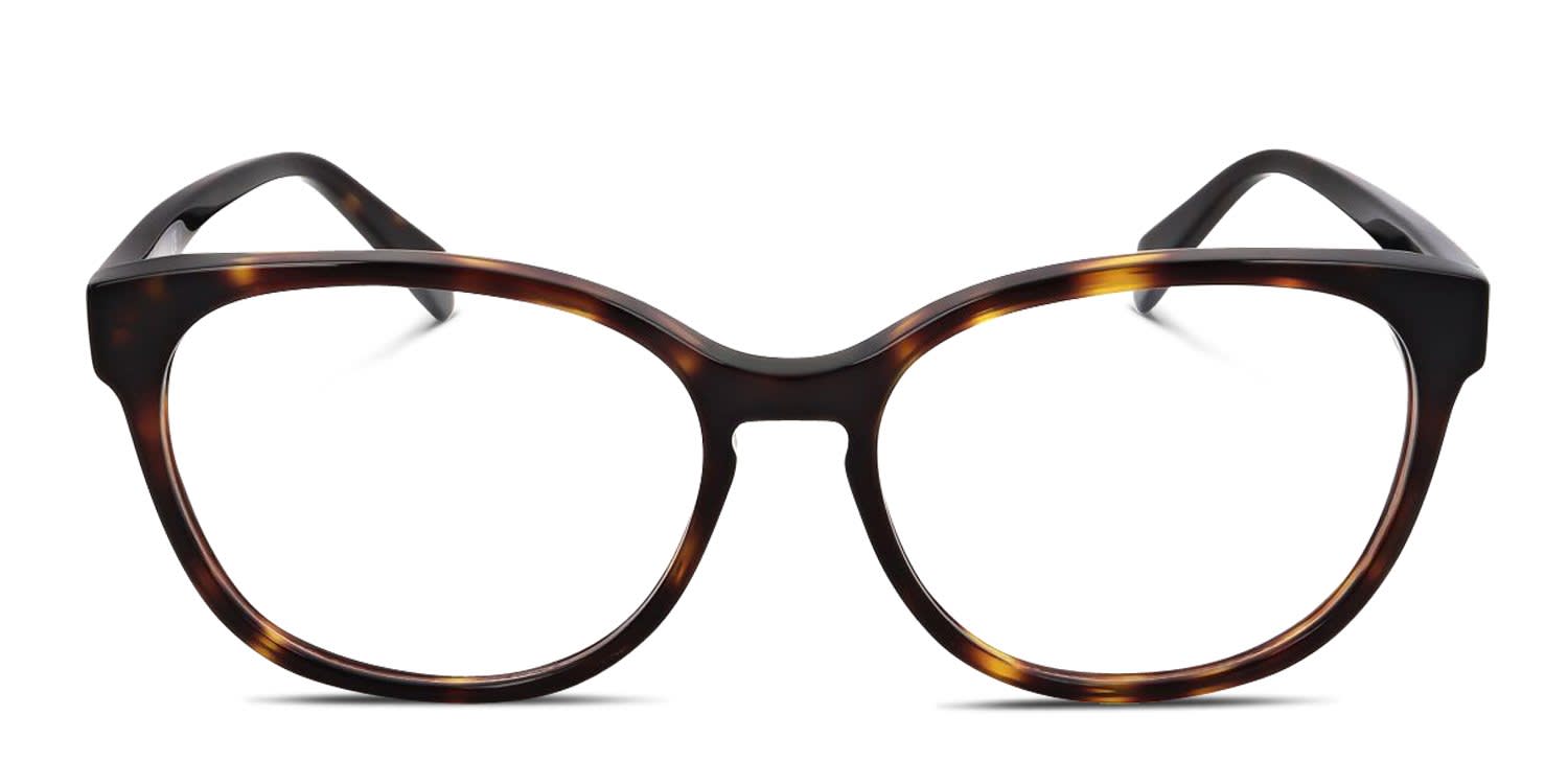 Polaroid PLD D371 Tortoise glasses - Tortoise - Frontal View
