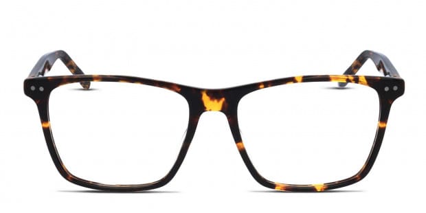Tommy hilfiger tortoise shell glasses best sale