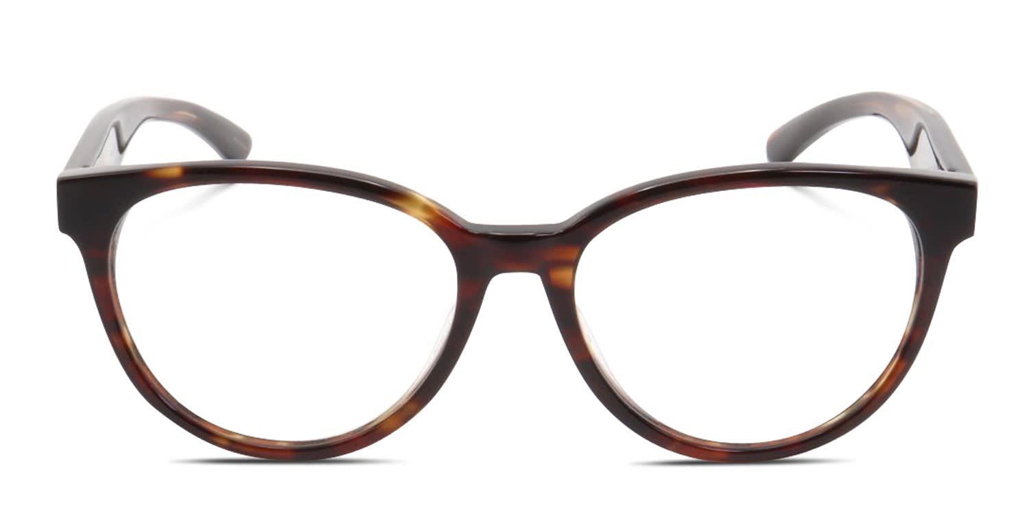 Smith Gracenote Tortoise glasses - Tortoise - Frontal View