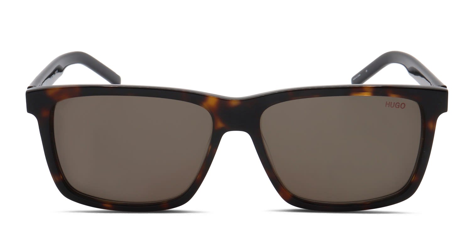 Hugo Boss 1013/S SAM tortoise frame with brown lenses. Lenses
