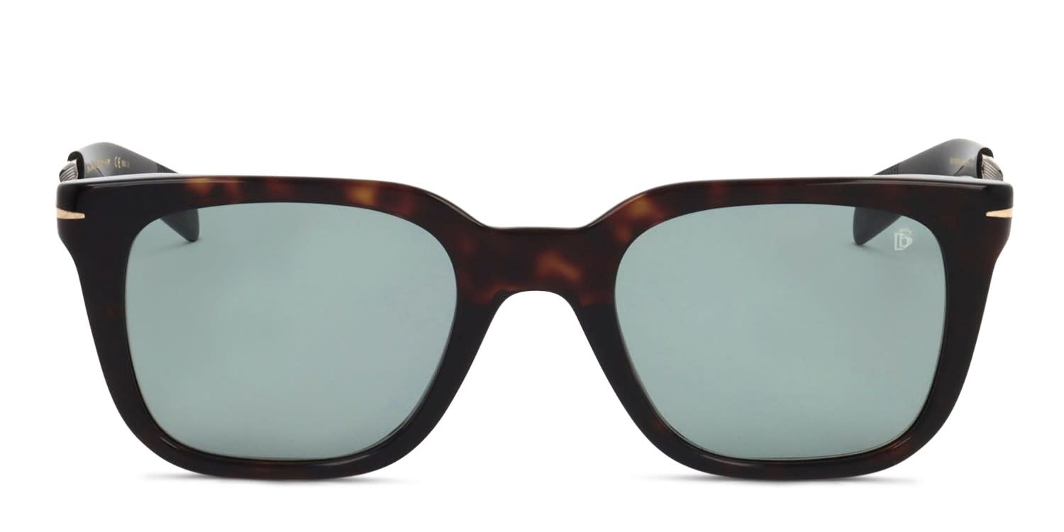 Carrera 261/S Brown Sunglasses Online Carrera 261/S Brown Sunglasses Online