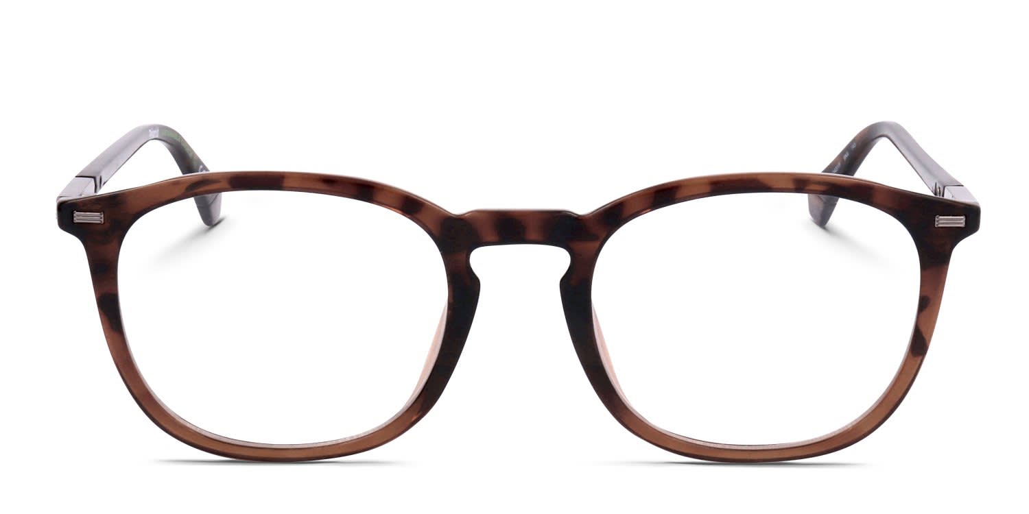 Polaroid PLD D431/F Tortoise, Brown glasses - Tortoise / Brown - Frontal View