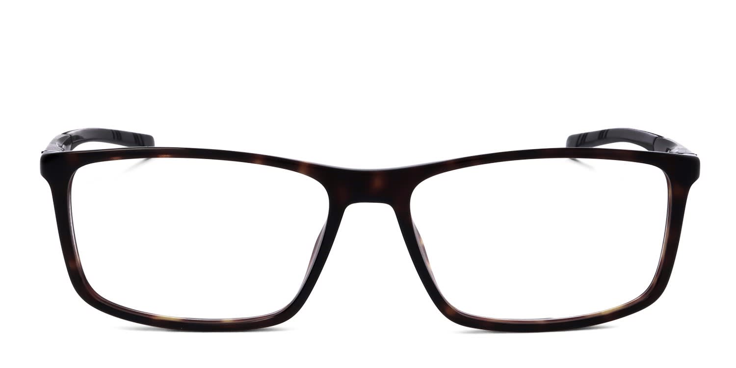 Carrera x Ducati Carduc 007 Brown, Tortoise glasses - Brown / Tortoise - Frontal View