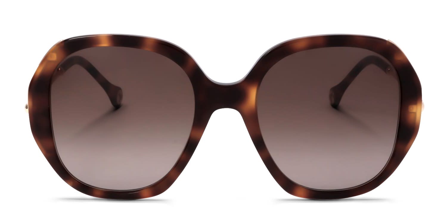 Carolina Herrera CH0019/S Tortoise glasses - Tortoise / Brown - Frontal View