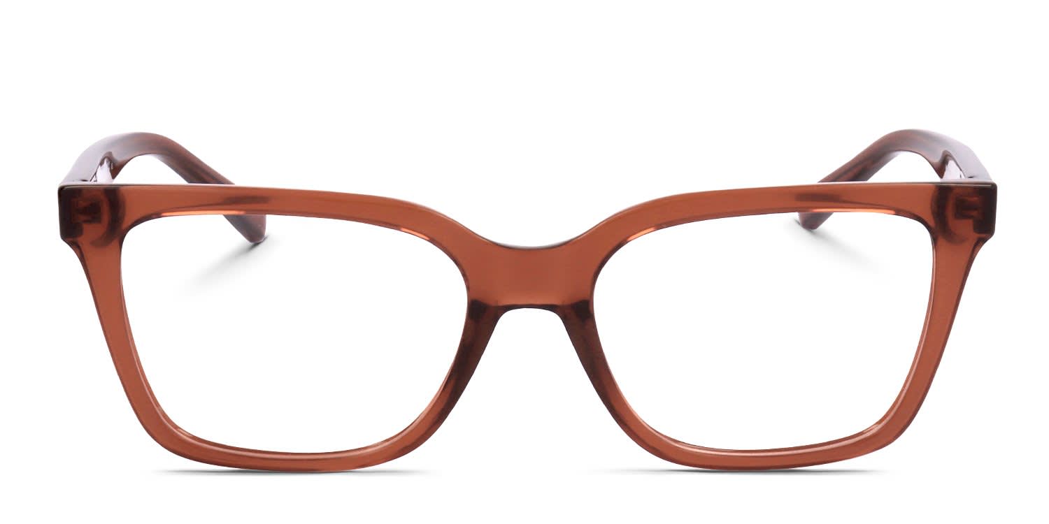 Moschino MOL603 brown frame