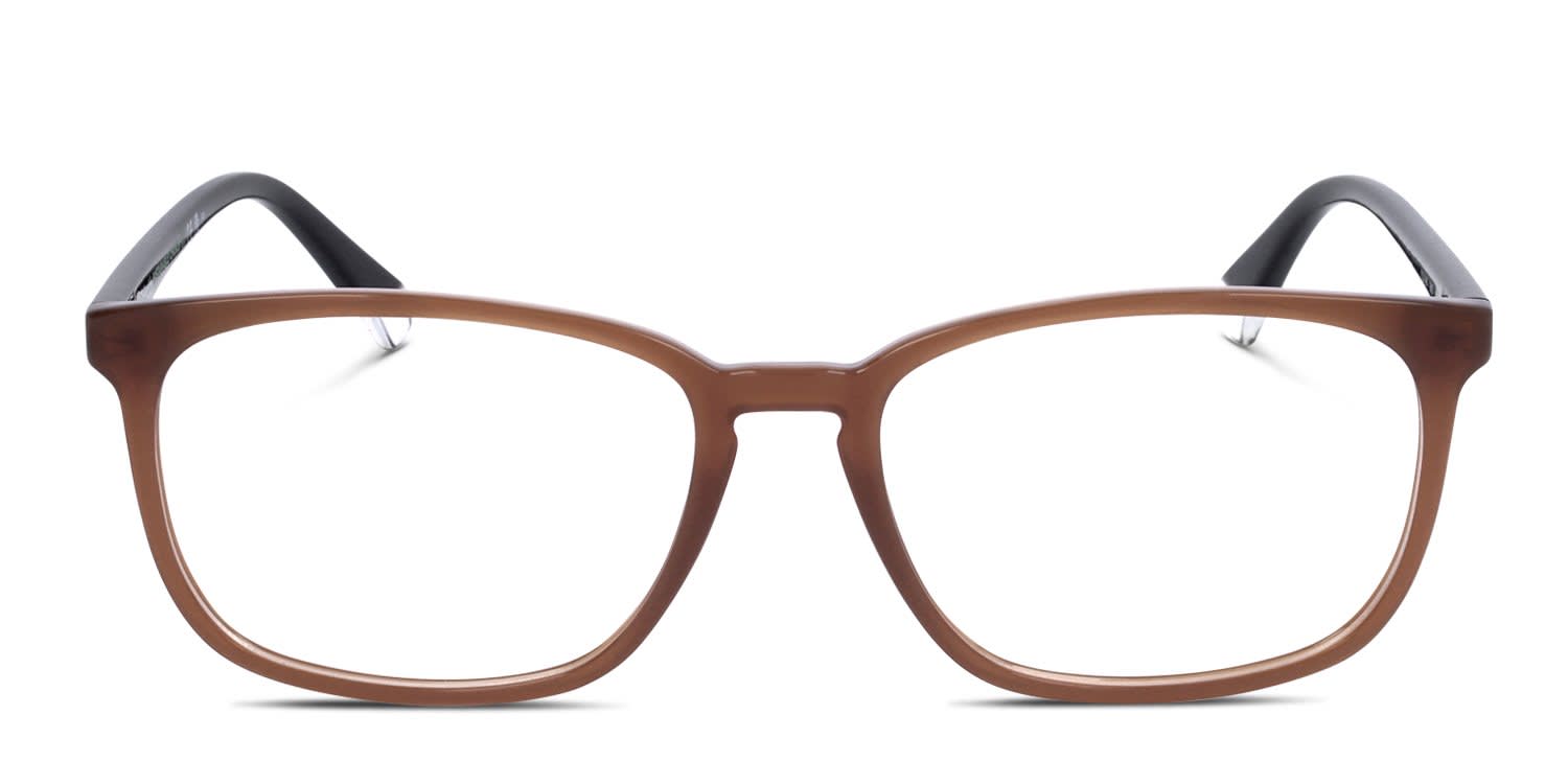 Polaroid PLD D488 Brown glasses - Brown - Frontal View