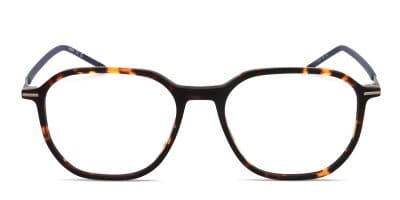 Hugo Boss HG1272