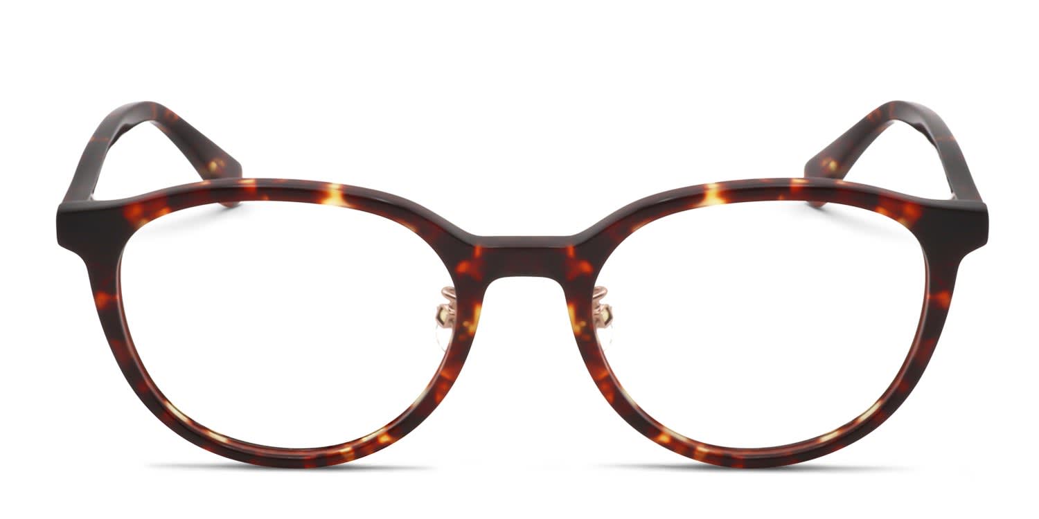 Kate Spade Skyla/F Tortoise Prescription Eyeglasses display picture 3