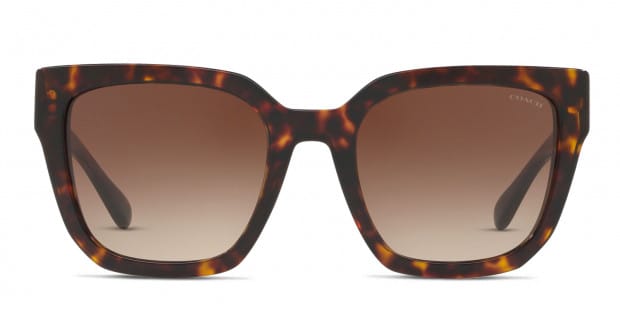 Coach HC8249 Brown Gray Tortoise