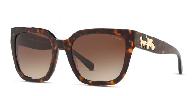 Coach HC8249 Brown Gray Tortoise
