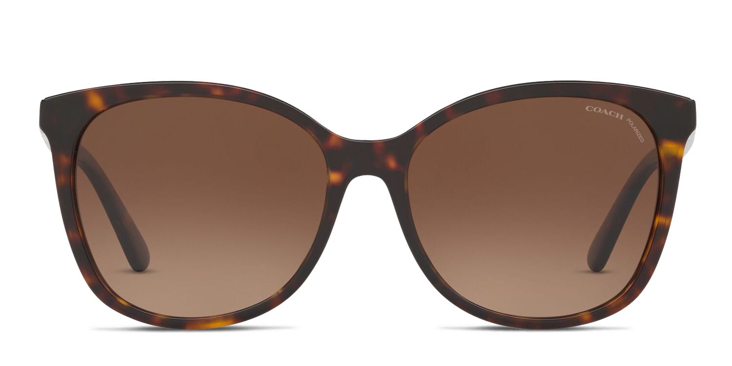 COACH SIENNA 612 Sunglasses 710 Tortoise CBY82 DARK TORTOISE W/ BROWN G 8435U5120T5 COACH main image 2