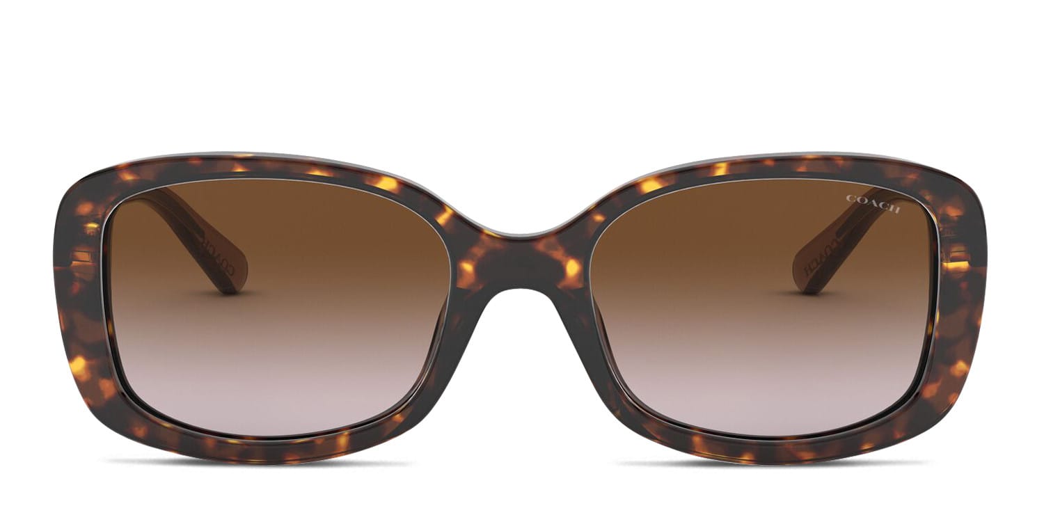 Coach HC8012 Tortoise w/Brown Prescription Sunglasses - 50
