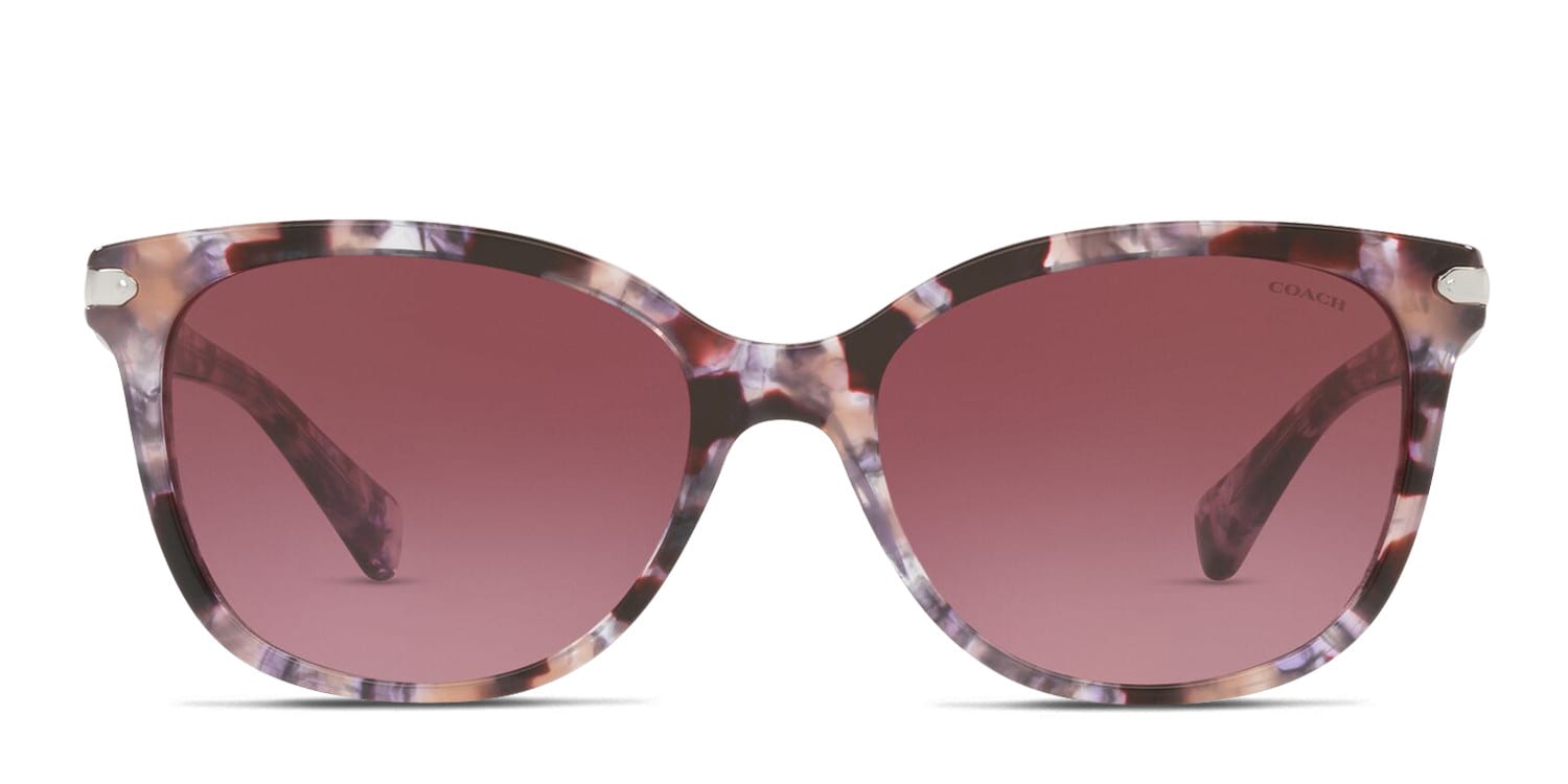 Coach HC8132 Purple , Red , Tortoise glasses - Multicolor / Purple - Frontal View