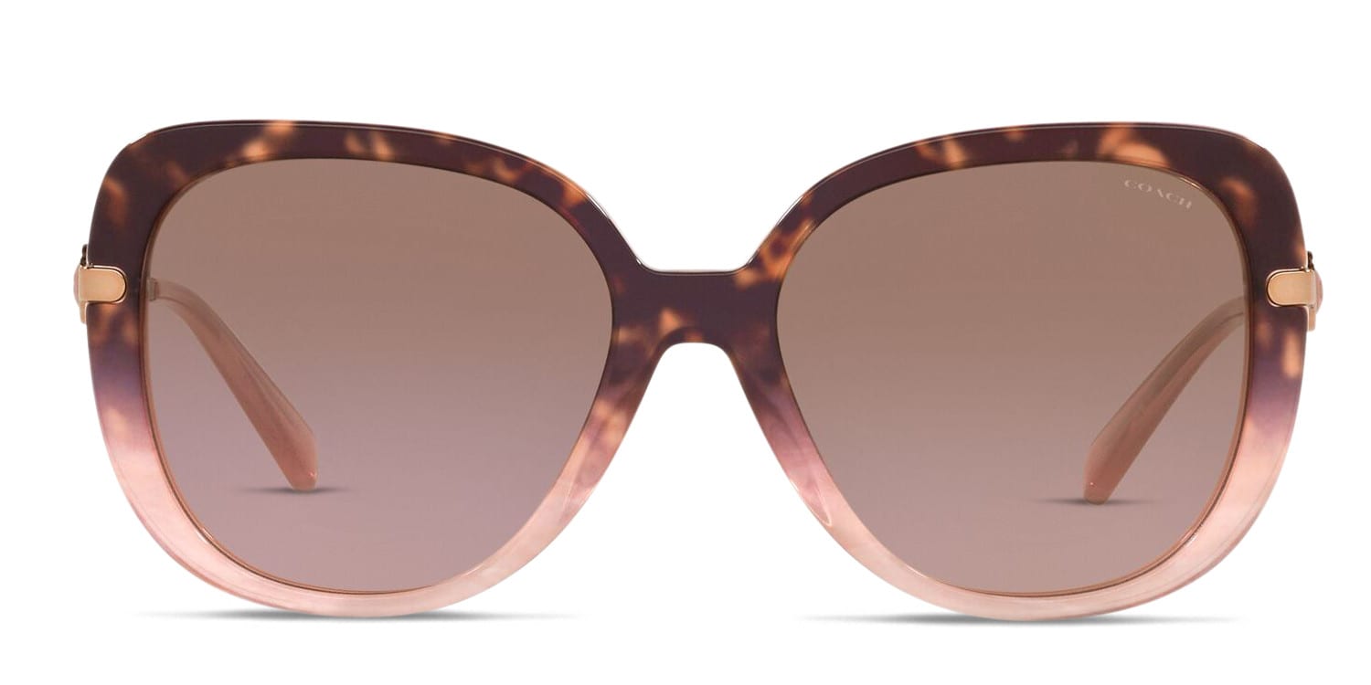 Coach HC8320 Brown , Pink , Tortoise glasses - Brown / Pink / Tortoise - Frontal View