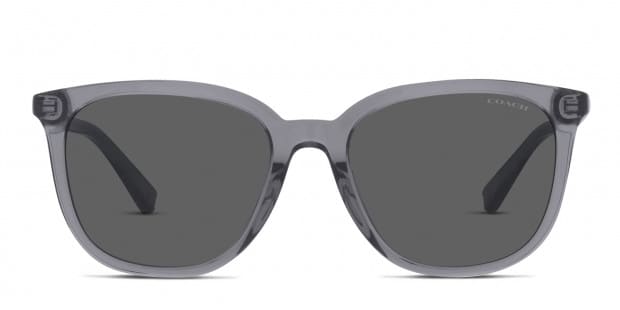 Coach sunglasses uv protection 2025