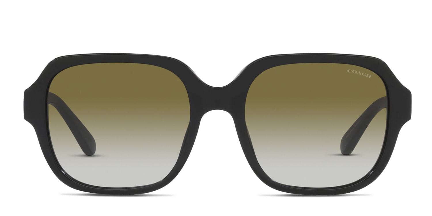 COACHサングラス Amazon | [コーチ] サングラス HC7144BD CD452 レディース