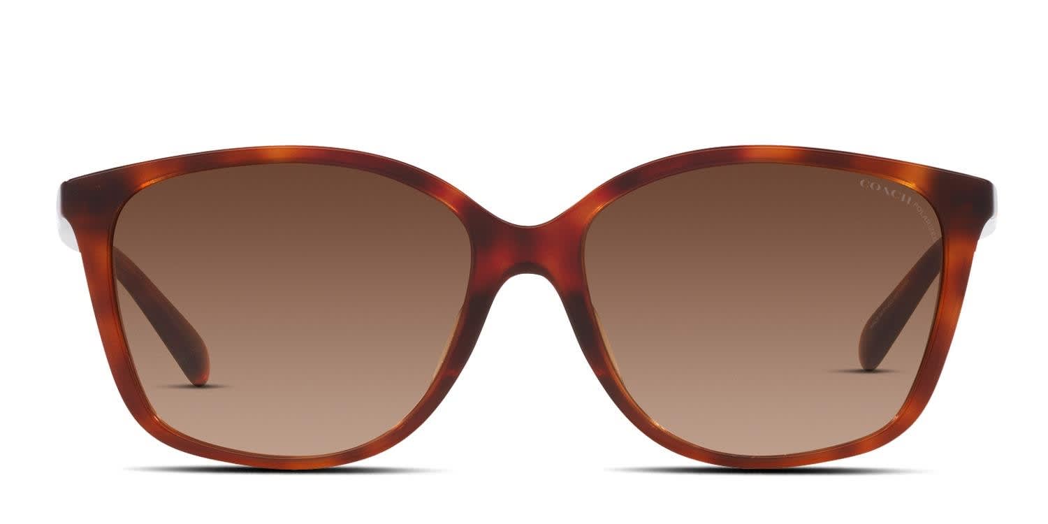 Coach HC8361U Tortoise glasses - Tortoise - Frontal View