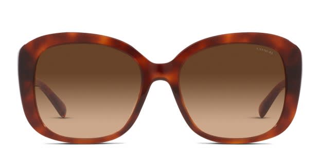 Coach sunglasses gold tortoise best sale