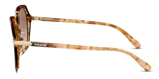 Coach HC8377U gold , tortoise frame with brown pink gradient  display picture 3