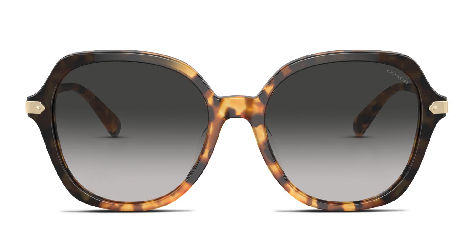 Kate Spade Women\'s Sunglasses Jonell/S RRZ B1 58-15 125 6-1 Green Havana Kate Spade Jonell/S Tortoise, Beige Prescription Sunglasses main image 4