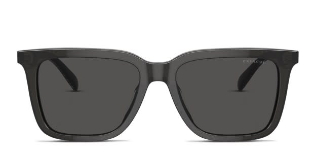 COACH コーチ サングラス　HC8391U(CR609) ウェリントン Coach HC8391U CR609 Oval Sunglasses For Women