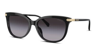 Coach HC8378U Cl926