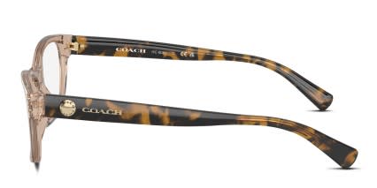 Coach HC6082 Clear, Brown glasses - Clear / Brown - Side View