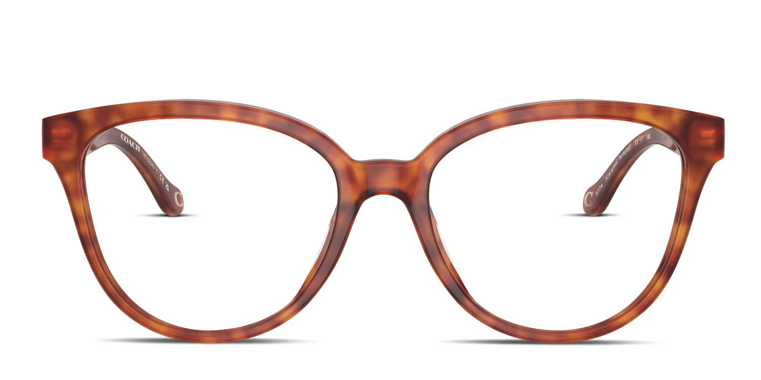 Coach HC6234U Gold, Tortoise glasses - Gold / Tortoise - Frontal View