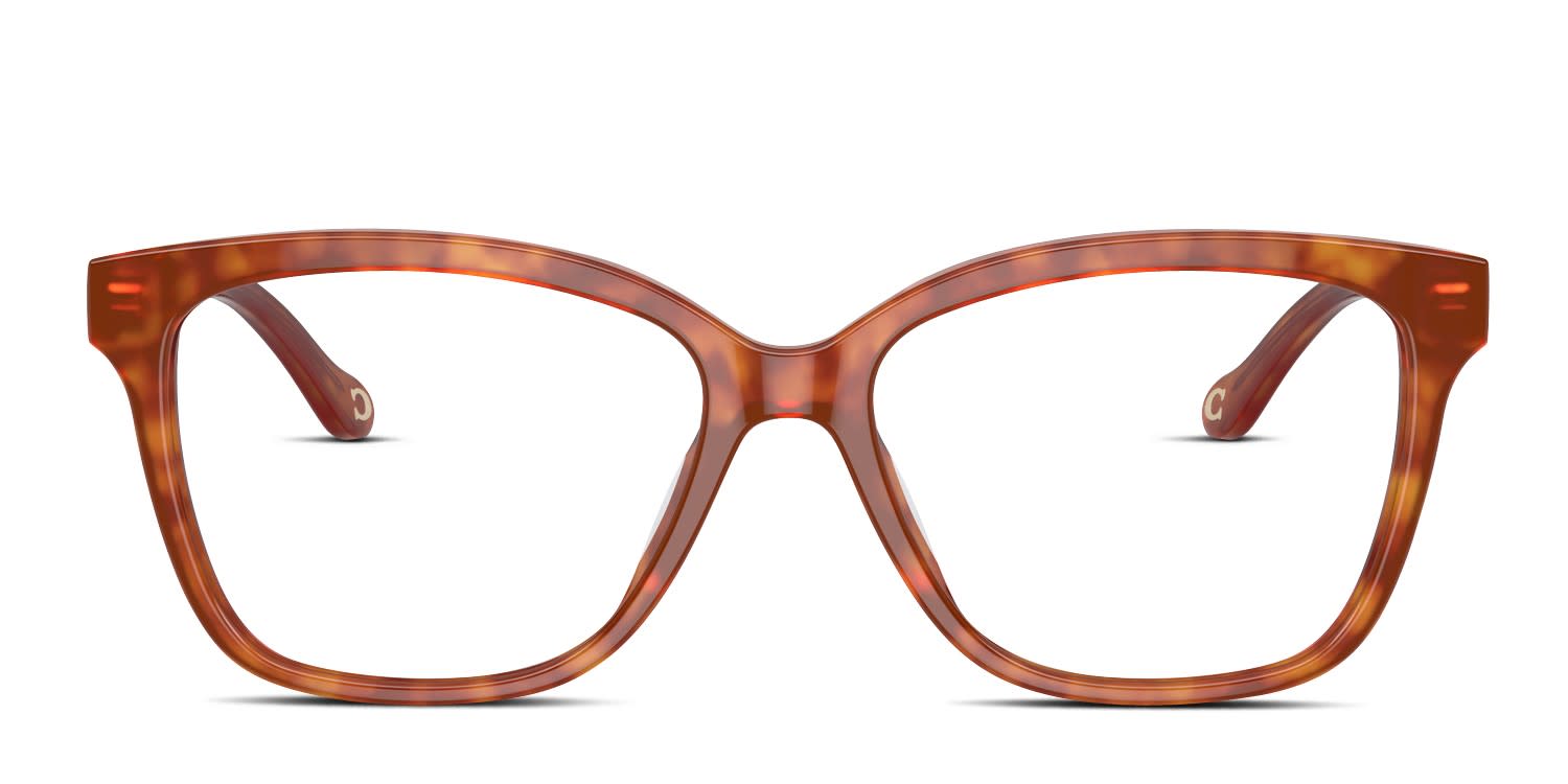 Coach HC6242U Gold, Tortoise glasses - Gold / Tortoise - Frontal View