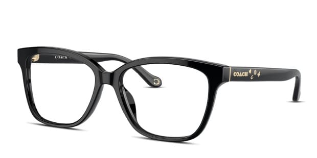 Coach HC6242U black frame